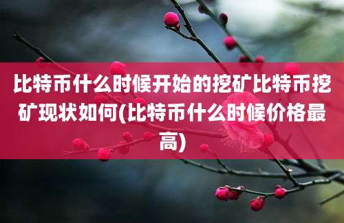 比特币什么时候开始的挖矿比特币挖矿现状如何(比特币什么时候价格最高)