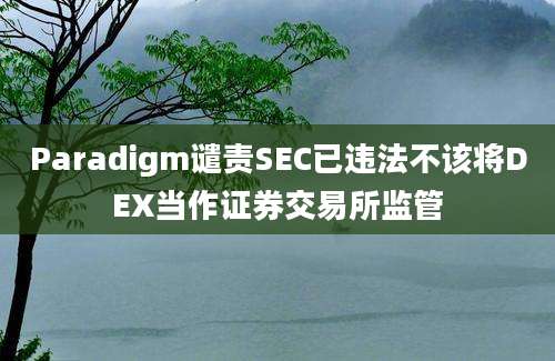 Paradigm谴责SEC已违法不该将DEX当作证券交易所监管