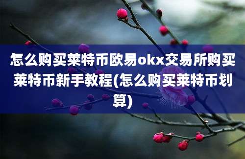 怎么购买莱特币欧易okx交易所购买莱特币新手教程(怎么购买莱特币划算)