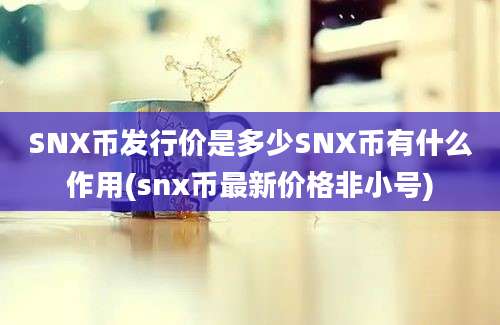 SNX币发行价是多少SNX币有什么作用(snx币最新价格非小号)