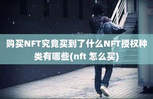 购买NFT究竟买到了什么NFT授权种类有哪些(nft 怎么买)