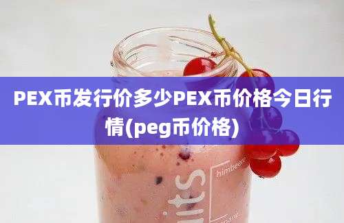 PEX币发行价多少PEX币价格今日行情(peg币价格)