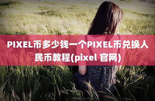 PIXEL币多少钱一个PIXEL币兑换人民币教程(pixel 官网)