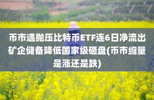 币市遇抛压比特币ETF连6日净流出矿企储备降低国家级砸盘(币市缩量是涨还是跌)