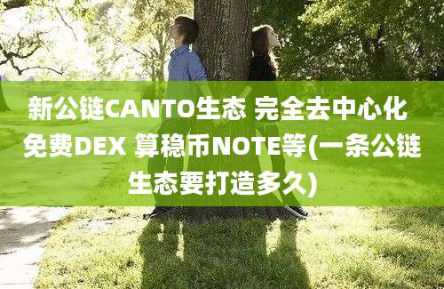 新公链CANTO生态 完全去中心化 免费DEX 算稳币NOTE等(一条公链生态要打造多久)