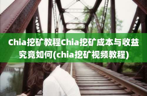 Chia挖矿教程Chia挖矿成本与收益究竟如何(chia挖矿视频教程)