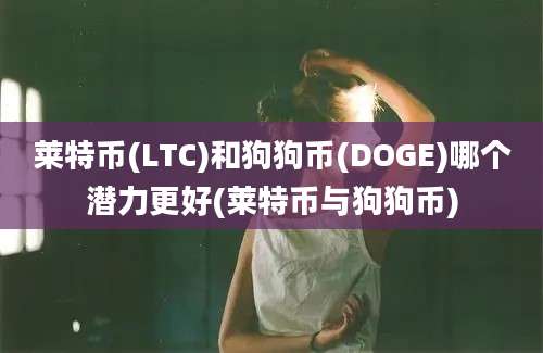 莱特币(LTC)和狗狗币(DOGE)哪个潜力更好(莱特币与狗狗币)