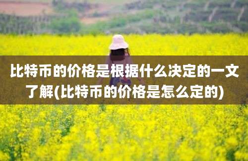 比特币的价格是根据什么决定的一文了解(比特币的价格是怎么定的)