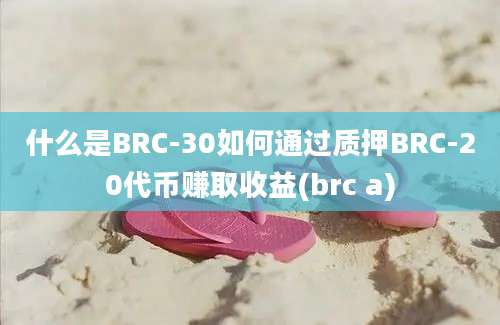 什么是BRC-30如何通过质押BRC-20代币赚取收益(brc a)