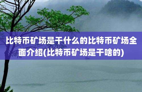 比特币矿场是干什么的比特币矿场全面介绍(比特币矿场是干啥的)