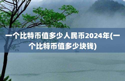 一个比特币值多少人民币2024年(一个比特币值多少块钱)