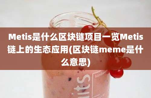 Metis是什么区块链项目一览Metis链上的生态应用(区块链meme是什么意思)