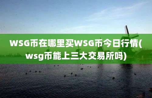 WSG币在哪里买WSG币今日行情(wsg币能上三大交易所吗)