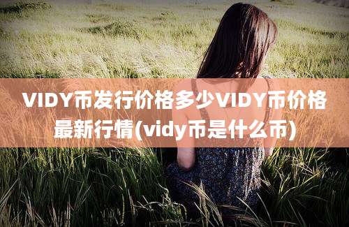 VIDY币发行价格多少VIDY币价格最新行情(vidy币是什么币)