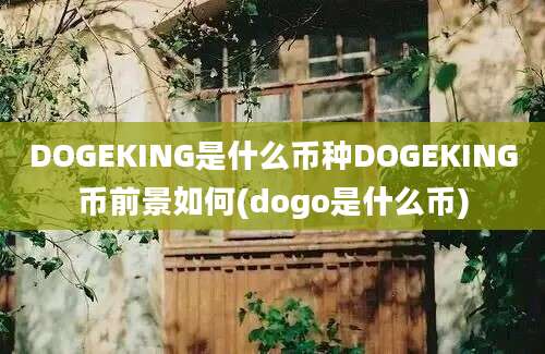 DOGEKING是什么币种DOGEKING币前景如何(dogo是什么币)