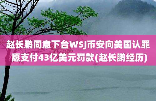 赵长鹏同意下台WSJ币安向美国认罪 愿支付43亿美元罚款(赵长鹏经历)