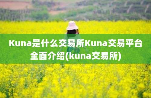 Kuna是什么交易所Kuna交易平台全面介绍(kuna交易所)