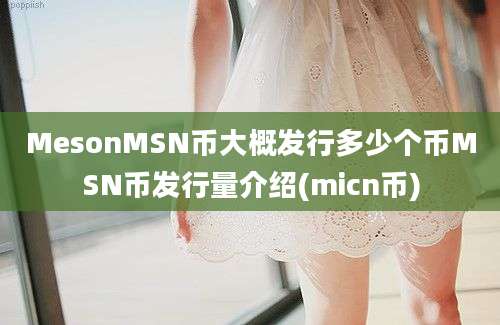 MesonMSN币大概发行多少个币MSN币发行量介绍(micn币)