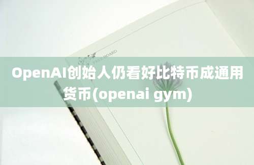 OpenAI创始人仍看好比特币成通用货币(openai gym)