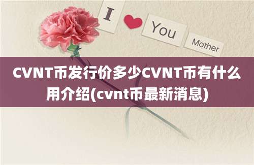 CVNT币发行价多少CVNT币有什么用介绍(cvnt币最新消息)