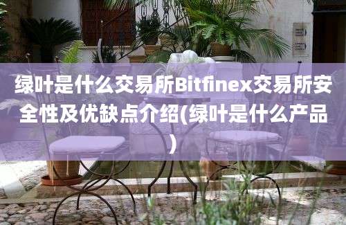 绿叶是什么交易所Bitfinex交易所安全性及优缺点介绍(绿叶是什么产品)