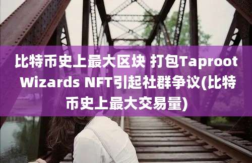 比特币史上最大区块 打包Taproot Wizards NFT引起社群争议(比特币史上最大交易量)