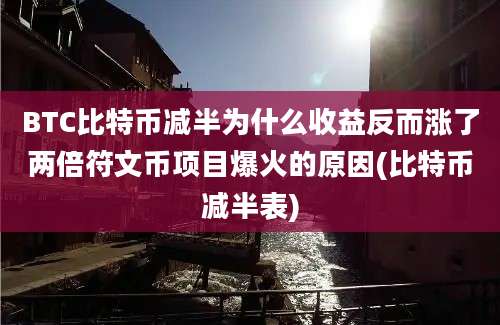 BTC比特币减半为什么收益反而涨了两倍符文币项目爆火的原因(比特币减半表)