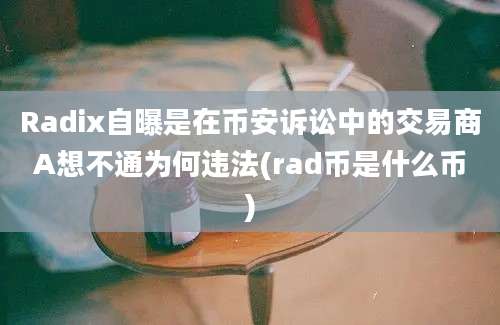 Radix自曝是在币安诉讼中的交易商A想不通为何违法(rad币是什么币)