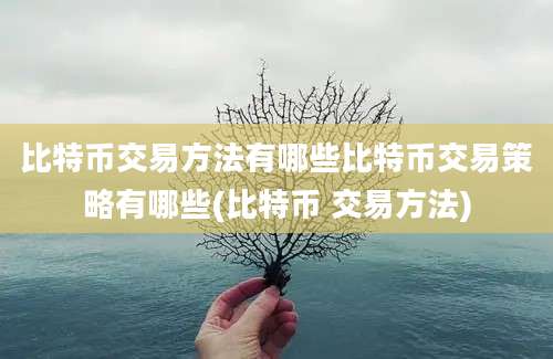 比特币交易方法有哪些比特币交易策略有哪些(比特币 交易方法)