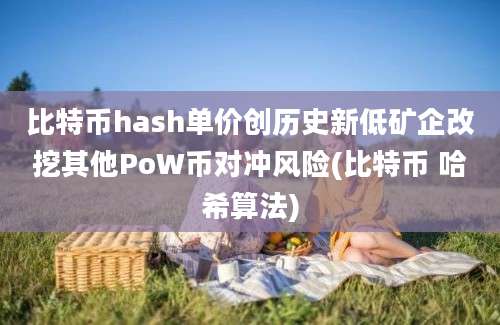 比特币hash单价创历史新低矿企改挖其他PoW币对冲风险(比特币 哈希算法)