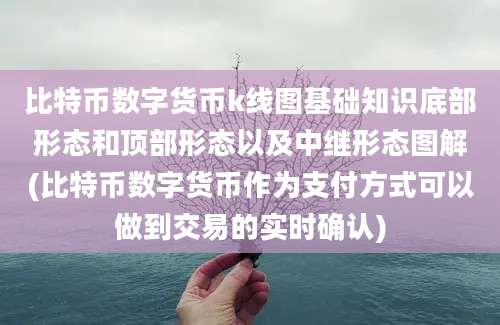 比特币数字货币k线图基础知识底部形态和顶部形态以及中继形态图解(比特币数字货币作为支付方式可以做到交易的实时确认)