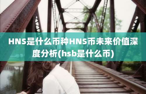 HNS是什么币种HNS币未来价值深度分析(hsb是什么币)