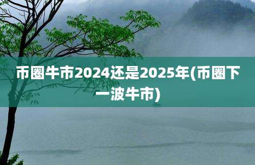 币圈牛市2024还是2025年(币圈下一波牛市)