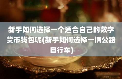 新手如何选择一个适合自己的数字货币钱包呢(新手如何选择一俩公路自行车)