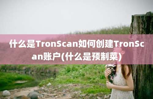 什么是TronScan如何创建TronScan账户(什么是预制菜)