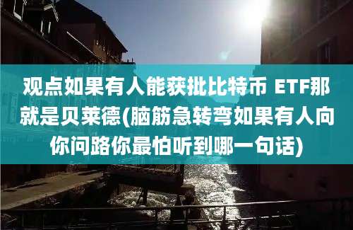 观点如果有人能获批比特币 ETF那就是贝莱德(脑筋急转弯如果有人向你问路你最怕听到哪一句话)