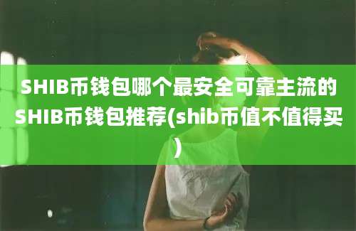 SHIB币钱包哪个最安全可靠主流的SHIB币钱包推荐(shib币值不值得买)