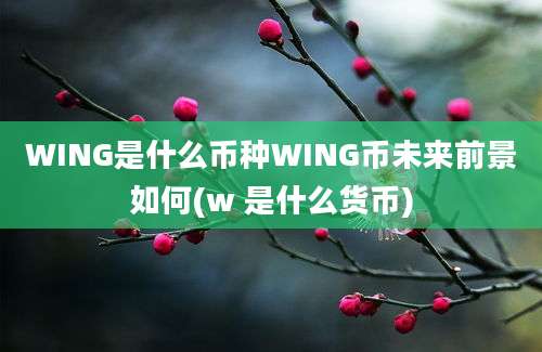 WING是什么币种WING币未来前景如何(w 是什么货币)