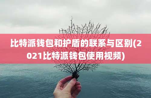 比特派钱包和护盾的联系与区别(2021比特派钱包使用视频)