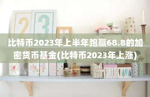 比特币2023年上半年跑赢68.8的加密货币基金(比特币2023年上涨)