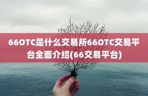 66OTC是什么交易所66OTC交易平台全面介绍(66交易平台)