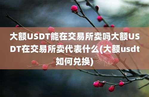 大额USDT能在交易所卖吗大额USDT在交易所卖代表什么(大额usdt如何兑换)