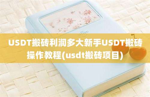 USDT搬砖利润多大新手USDT搬砖操作教程(usdt搬砖项目)