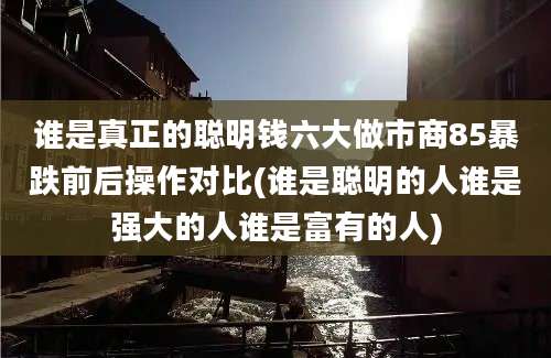 谁是真正的聪明钱六大做市商85暴跌前后操作对比(谁是聪明的人谁是强大的人谁是富有的人)