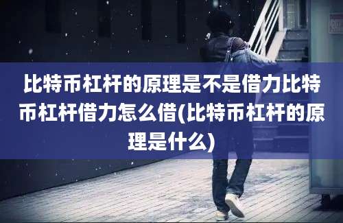 比特币杠杆的原理是不是借力比特币杠杆借力怎么借(比特币杠杆的原理是什么)