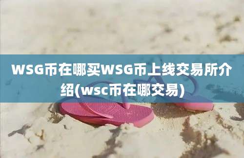 WSG币在哪买WSG币上线交易所介绍(wsc币在哪交易)