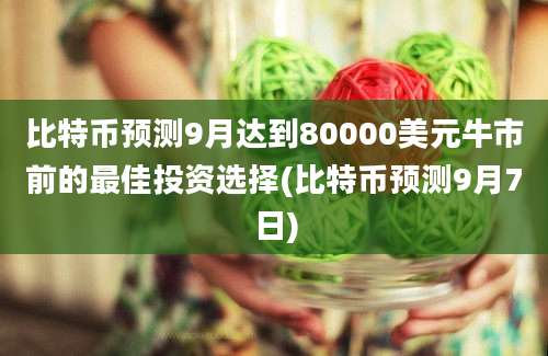 比特币预测9月达到80000美元牛市前的最佳投资选择(比特币预测9月7日)