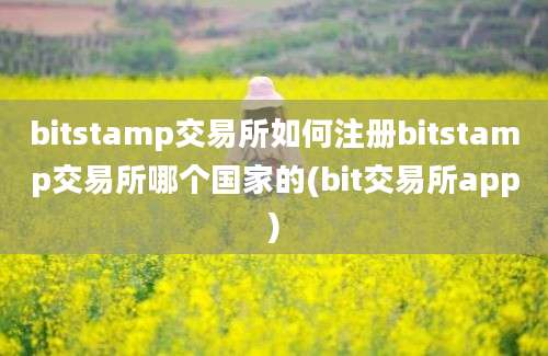 bitstamp交易所如何注册bitstamp交易所哪个国家的(bit交易所app)