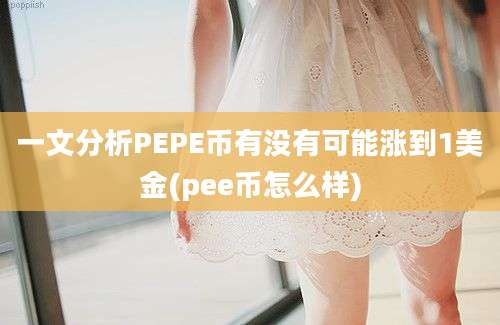 一文分析PEPE币有没有可能涨到1美金(pee币怎么样)