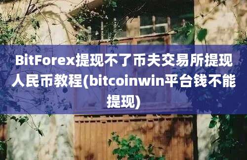 BitForex提现不了币夫交易所提现人民币教程(bitcoinwin平台钱不能提现)